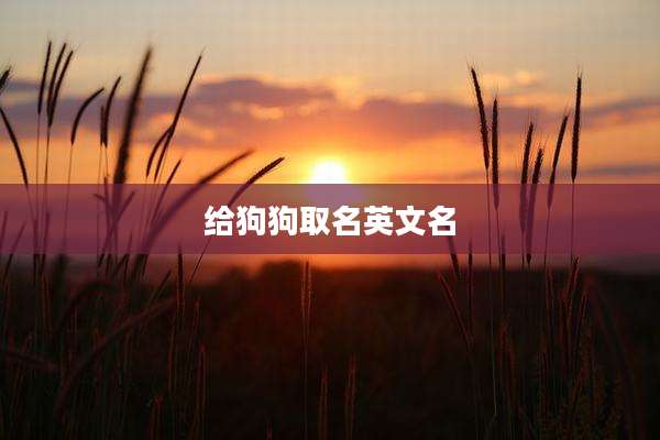 给狗狗取名英文名