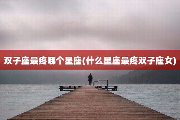 双子座最疼哪个星座(什么星座最疼双子座女)