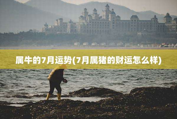 属牛的7月运势(7月属猪的财运怎么样)