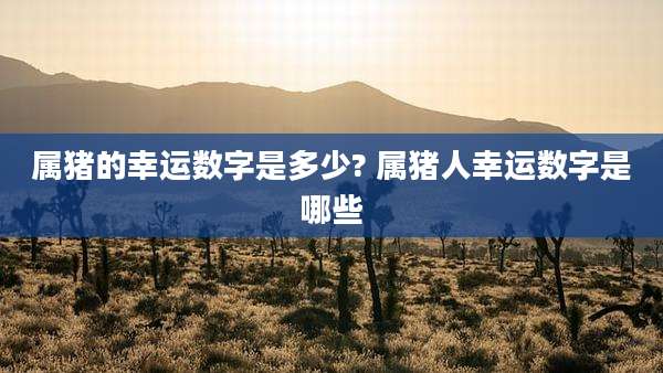 属猪的幸运数字是多少? 属猪人幸运数字是哪些