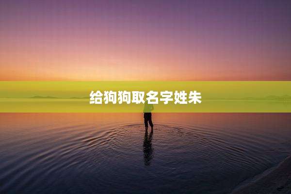 给狗狗取名字姓朱