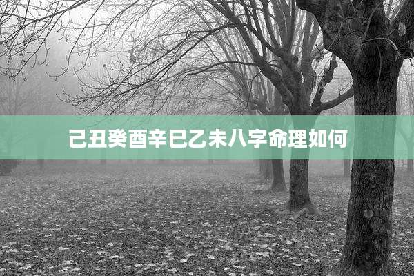 己丑癸酉辛巳乙未八字命理如何