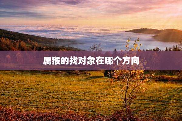 属猴的找对象在哪个方向