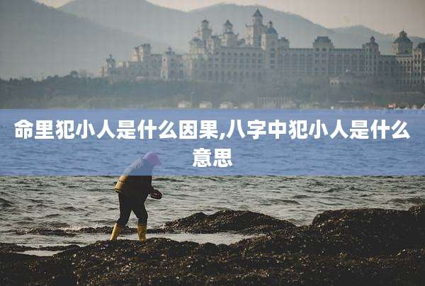 命里犯小人是什么因果,八字中犯小人是什么意思
