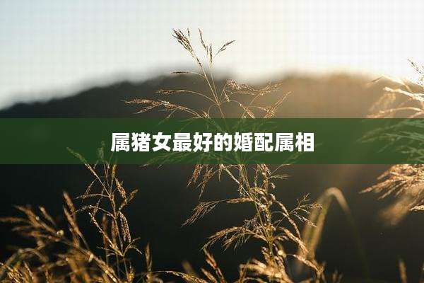 属猪女最好的婚配属相
