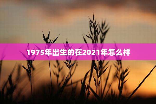 1975年出生的在2021年怎么样