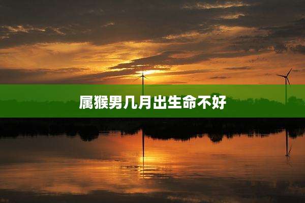属猴男几月出生命不好