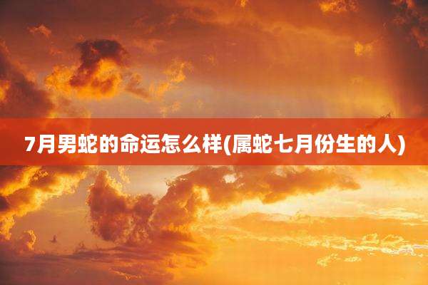 7月男蛇的命运怎么样(属蛇七月份生的人)