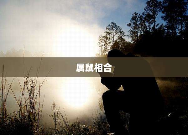 属鼠相合
