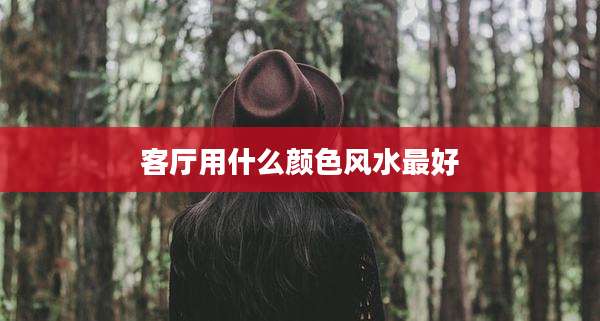 客厅用什么颜色风水最好