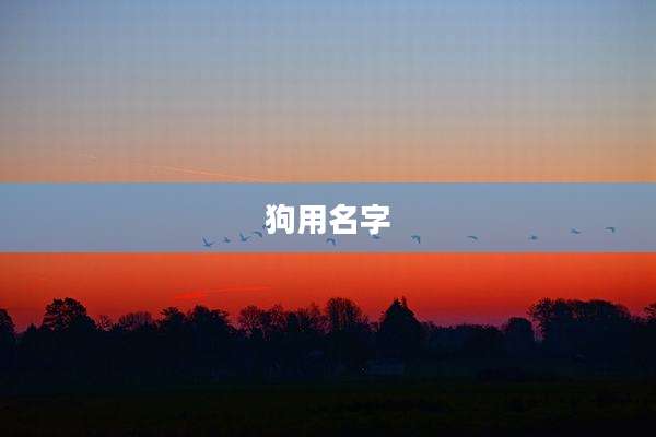 狗用名字
