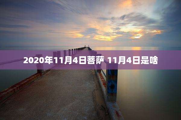 2020年11月4日菩萨 11月4日是啥