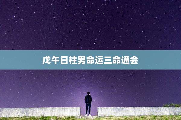 戊午日柱男命运三命通会