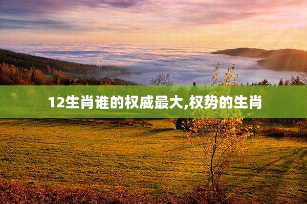 12生肖谁的权威最大,权势的生肖