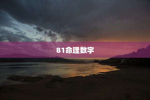 81命理数字