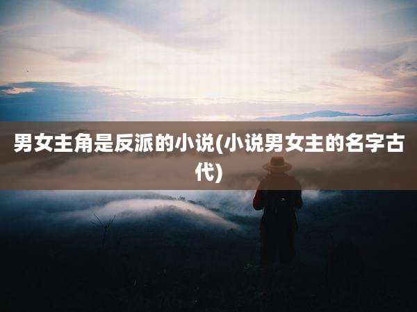 男女主角是反派的小说(小说男女主的名字古代)
