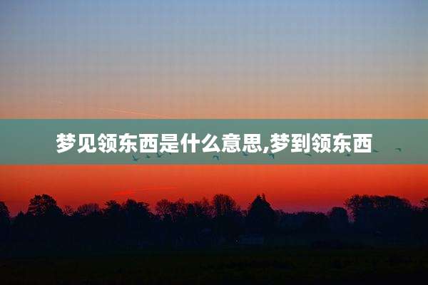 梦见领东西是什么意思,梦到领东西