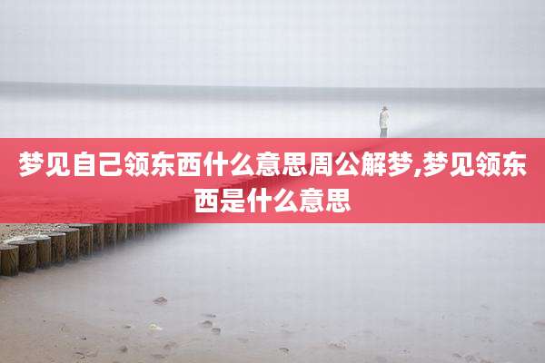 梦见自己领东西什么意思周公解梦,梦见领东西是什么意思