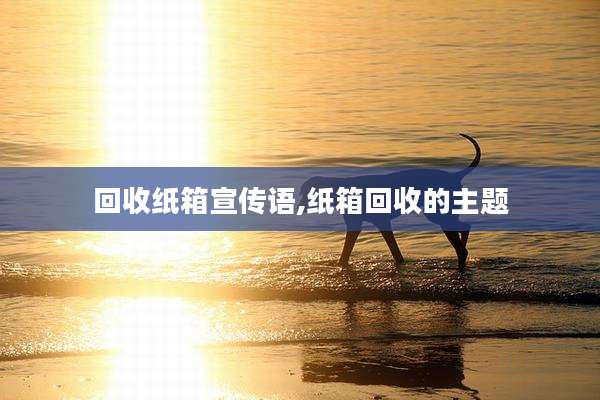 回收纸箱宣传语,纸箱回收的主题