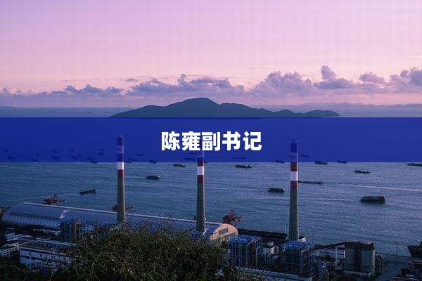 陈雍副书记