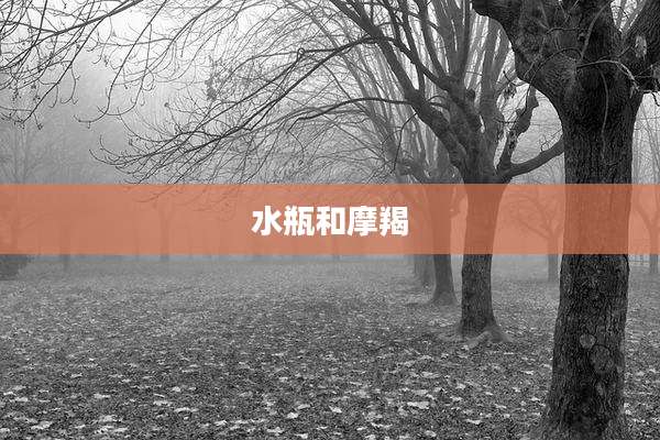 水瓶和摩羯