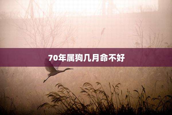 70年属狗几月命不好