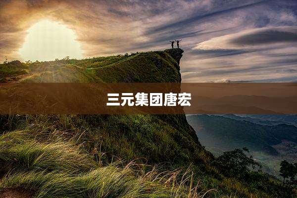 三元集团唐宏