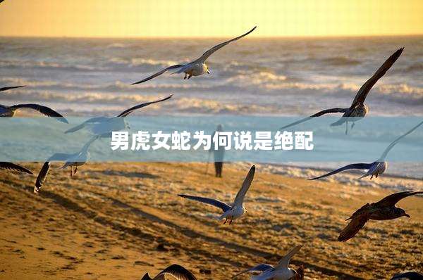 男虎女蛇为何说是绝配
