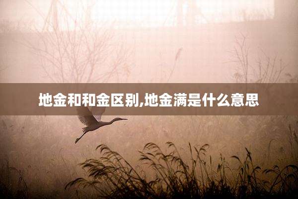 地金和和金区别,地金满是什么意思