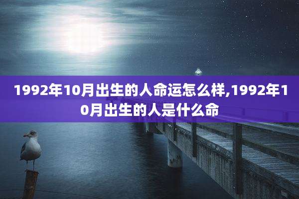 1992年10月出生的人命运怎么样,1992年10月出生的人是什么命