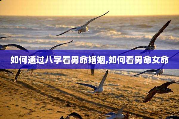 如何通过八字看男命婚姻,如何看男命女命