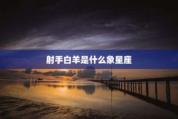 射手白羊是什么象星座