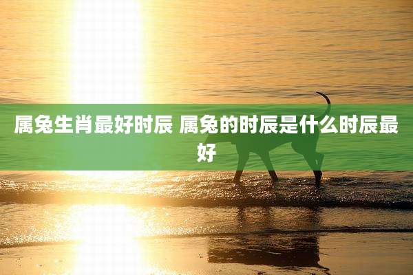 属兔生肖最好时辰 属兔的时辰是什么时辰最好