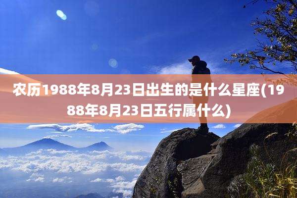 农历1988年8月23日出生的是什么星座(1988年8月23日五行属什么)