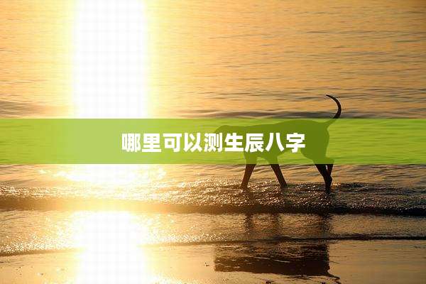 哪里可以测生辰八字