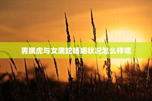男属虎与女属蛇婚姻状况怎么样呢