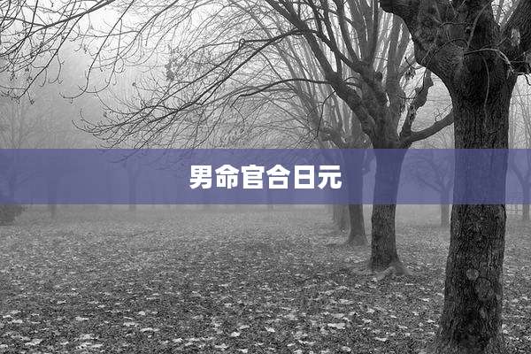 男命官合日元