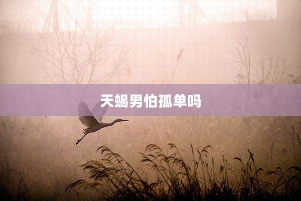 天蝎男怕孤单吗