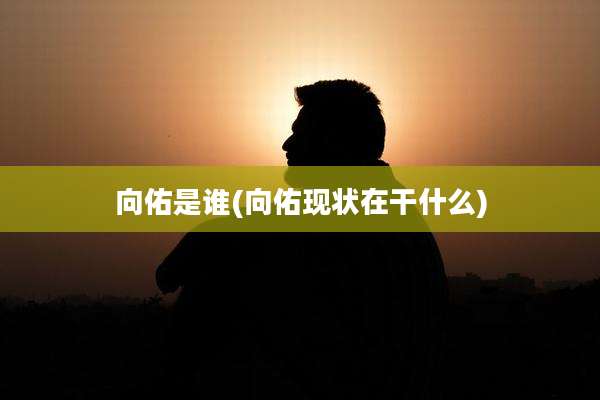 向佑是谁(向佑现状在干什么)