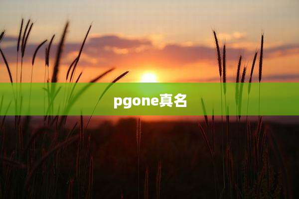 pgone真名
