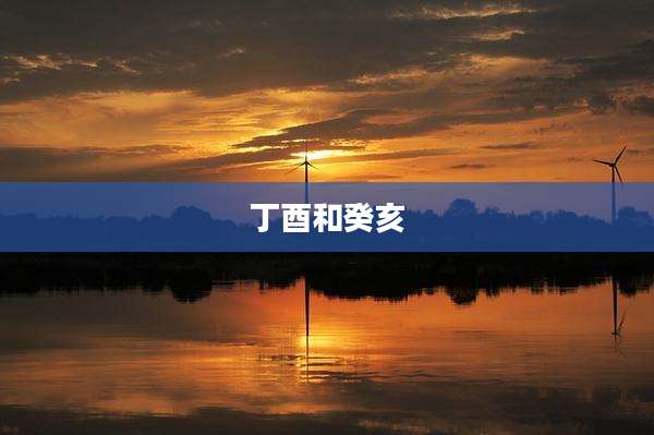 丁酉和癸亥