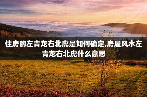 住房的左青龙右北虎是如何确定,房屋风水左青龙右北虎什么意思