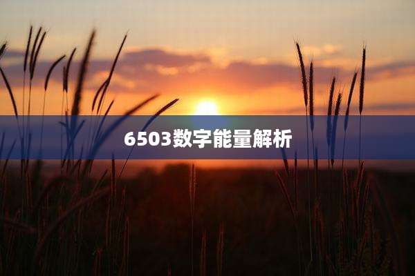 6503数字能量解析