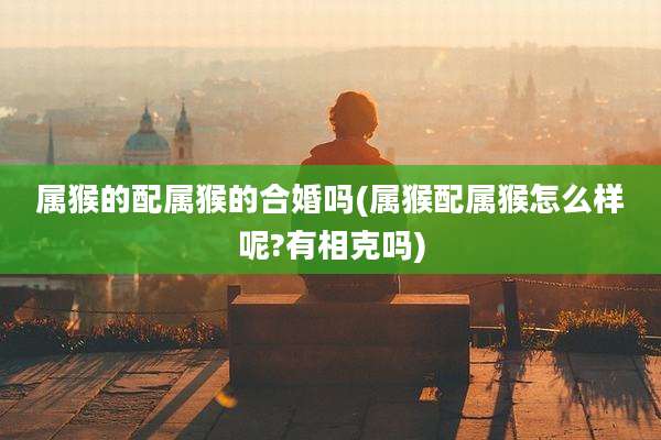 属猴的配属猴的合婚吗(属猴配属猴怎么样呢?有相克吗)