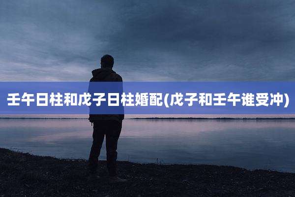 壬午日柱和戊子日柱婚配(戊子和壬午谁受冲)