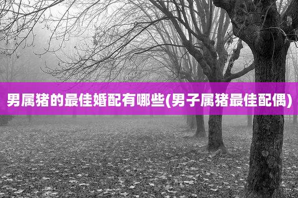 男属猪的最佳婚配有哪些(男子属猪最佳配偶)