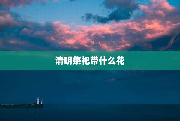 清明祭祀带什么花