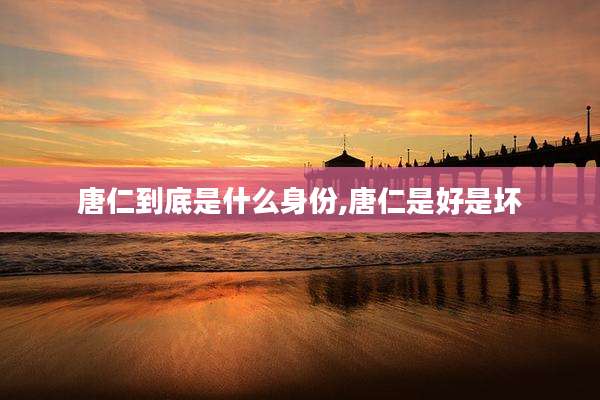 唐仁到底是什么身份,唐仁是好是坏