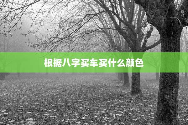 根据八字买车买什么颜色