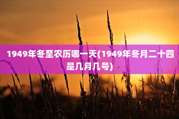 1949年冬至农历哪一天(1949年冬月二十四是几月几号)